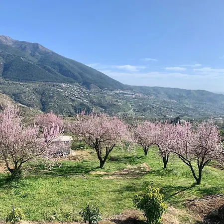 Holiday home 3 Bedroom With Private Pool And Mountain View